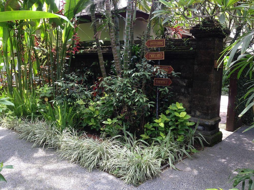 Anginsepoi Hotel Canggu Eksteriør billede