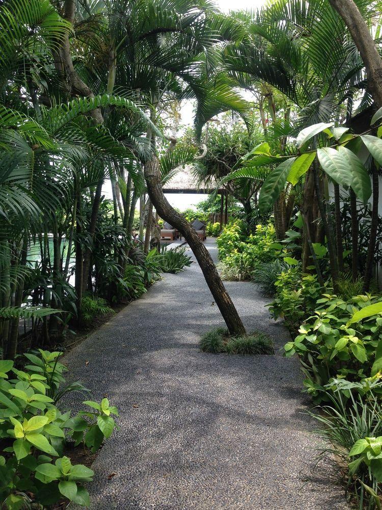Anginsepoi Hotel Canggu Eksteriør billede