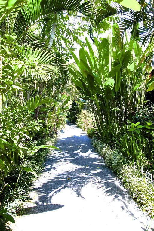 Anginsepoi Hotel Canggu Eksteriør billede
